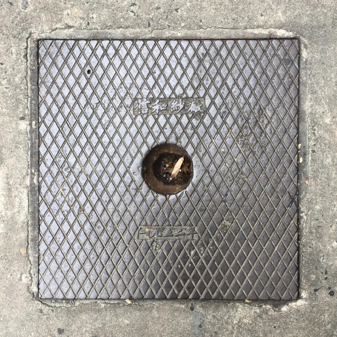 不要错过上海的春天,不要错过上海的夏天