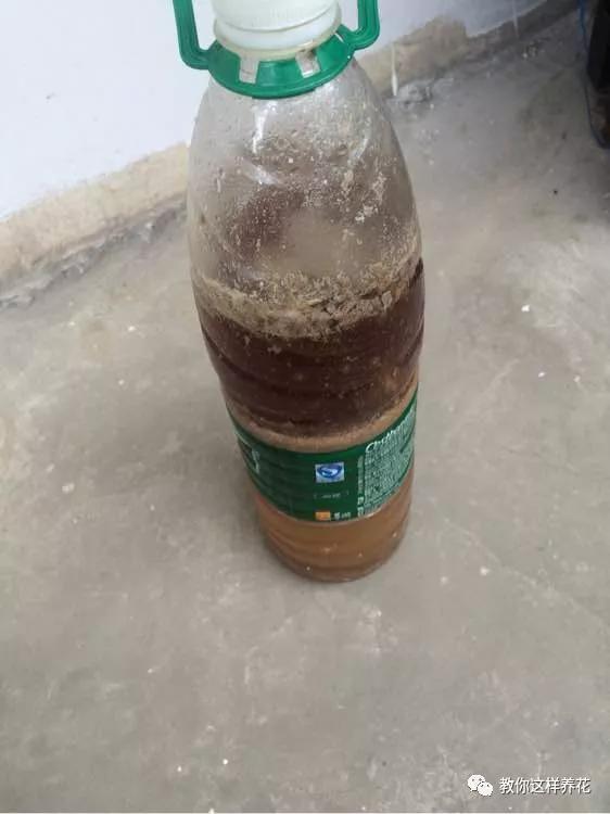 给花浇白醋会怎么样,给花浇营养液后叶子黄了