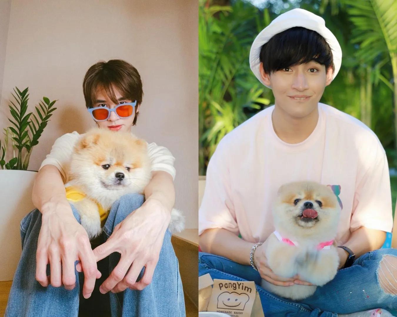 fluke福多多萌主密探,泰星fluke福多多所有作品