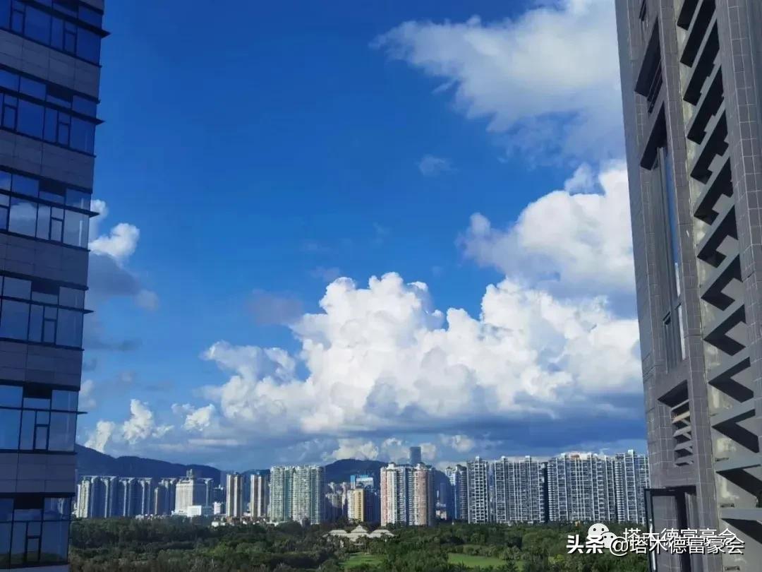 一堆富豪的买房心得：粤港澳大湾区的十大富人区（塔木德财智榜）