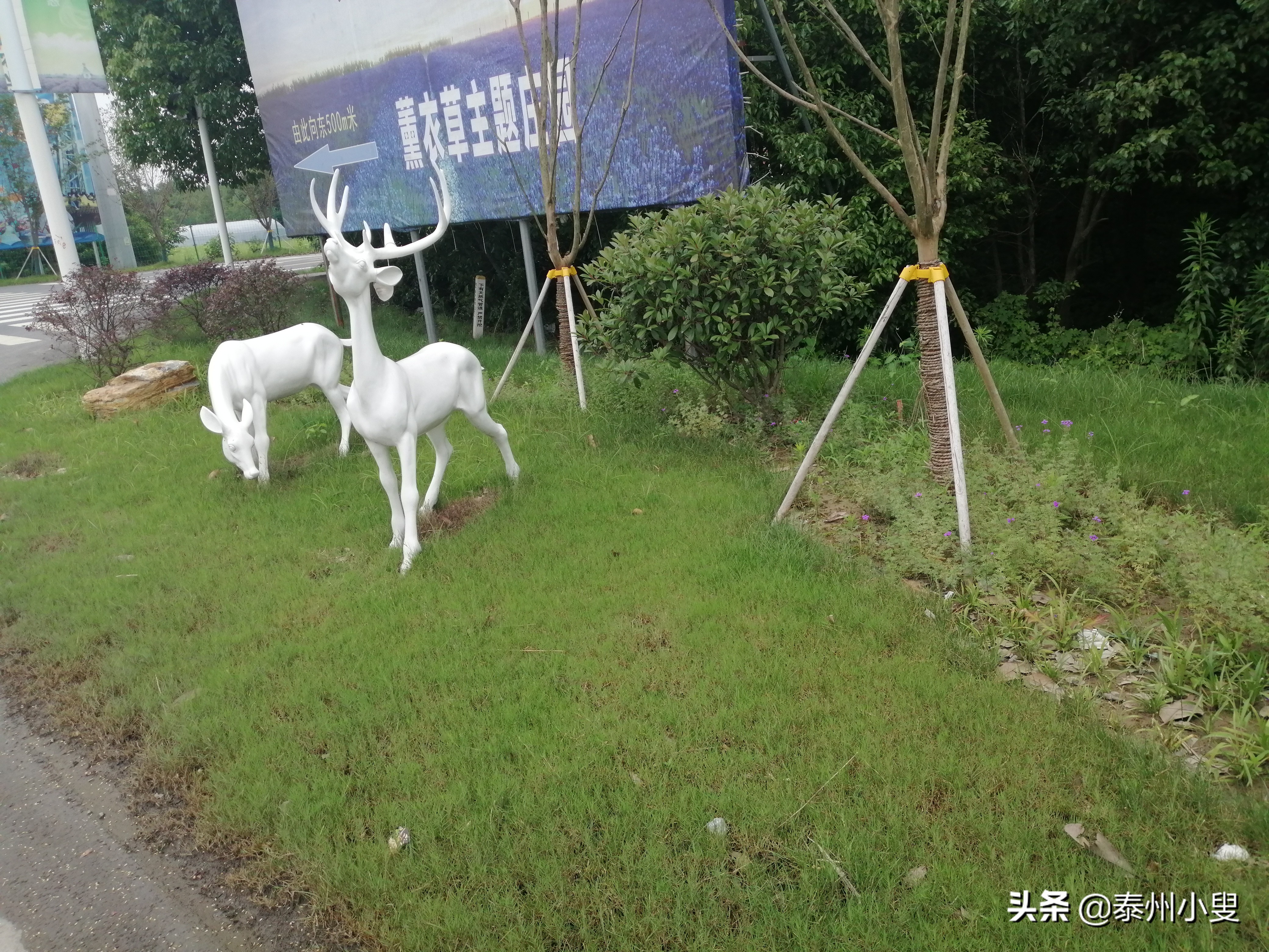 麒麟山绿道骑行,骑行路线麒麟区