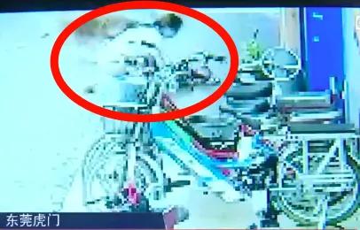 紧急提醒一周接诊超500例,已进入秋冬季呼吸道传染病高发季