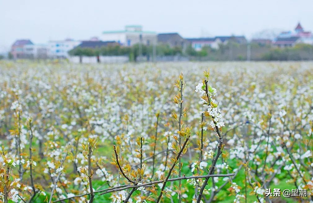 留住乡愁记忆的山居村落,乡愁记忆最美乡村风景