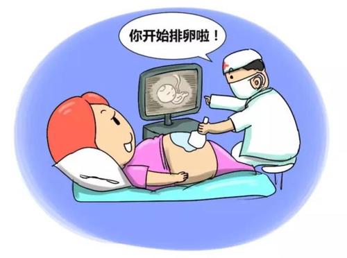 排卵监测一般要做几次,月经过后监测排卵要监测几次