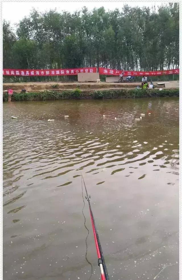 2019年野钓笔记,2020年的钓鱼总结