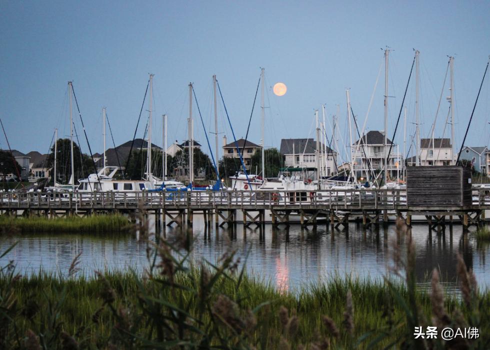 美国50个州发达城市分布图,美国50大城市最新排名