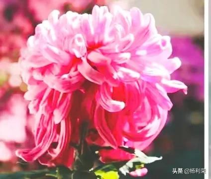 长江三峡李白的七绝,长江三峡行七绝