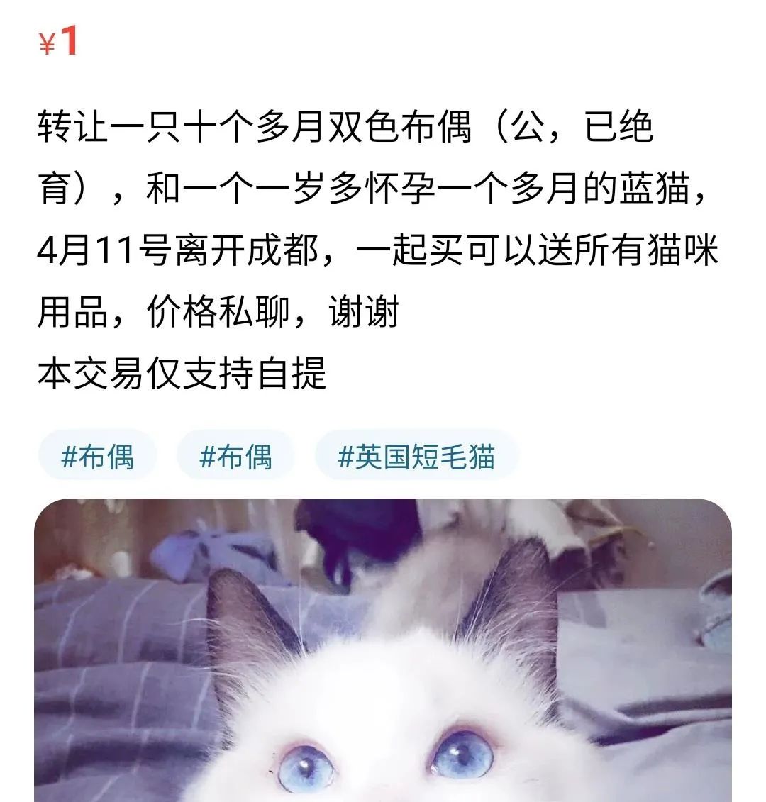 失业降薪的青年们，正在二手平台上抛售所有家当