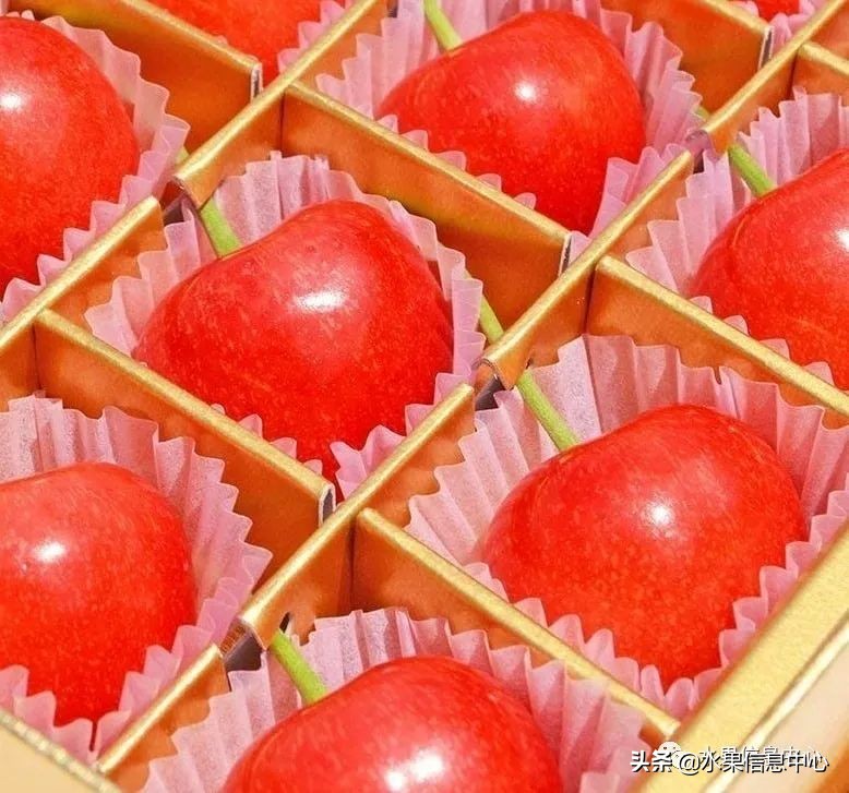 卖樱桃8块一斤十五块两斤的视频,一斤樱桃多少钱