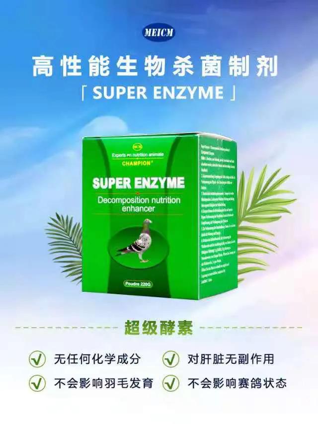 幼鸽下窝后喂几成饱,青年鸽怎么喂发育快