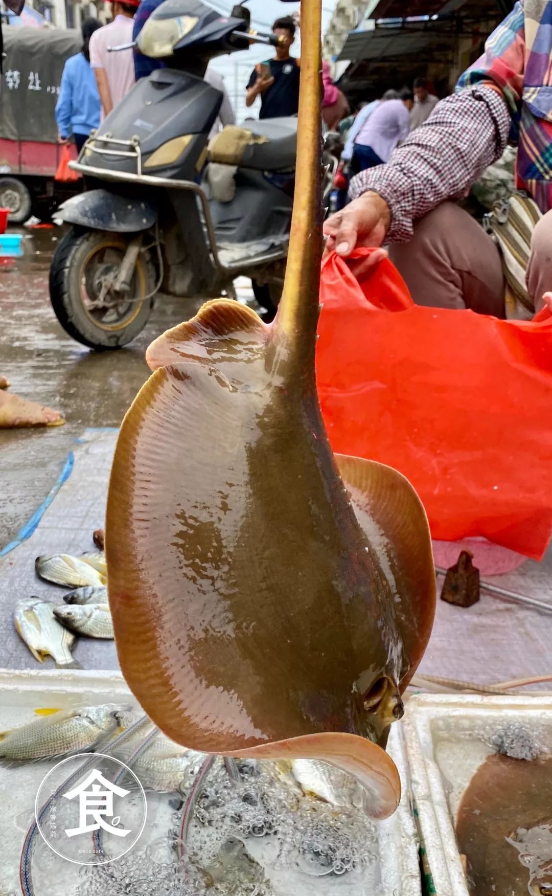 钦州最便宜的海鲜市场,钦州海鲜哪里最便宜