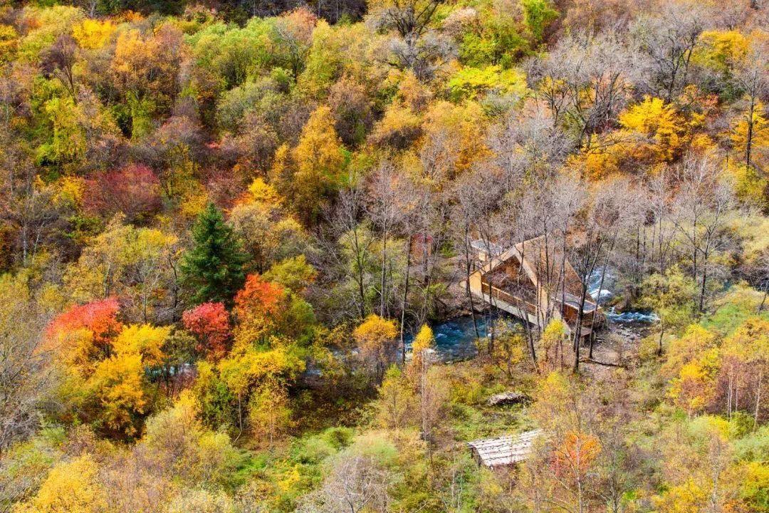 九寨沟精致小众,九寨沟风景不输瑞士