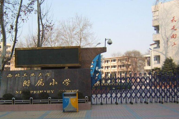 西安小学五大名校哪个最好,西安三年内优质小学