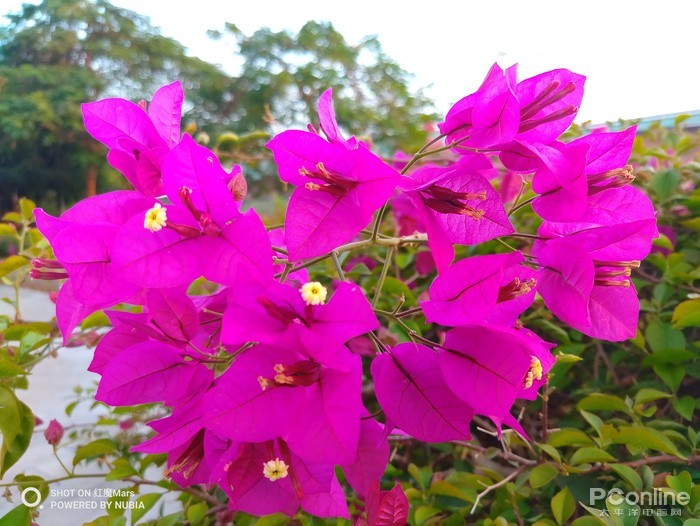 红魔mars手机游戏测评,红魔电竞手机mars多少钱