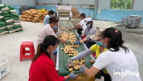 鍗佸牥瓒呭叏钄彍姘存灉,鍗佸牥鏂伴矞姘存灉