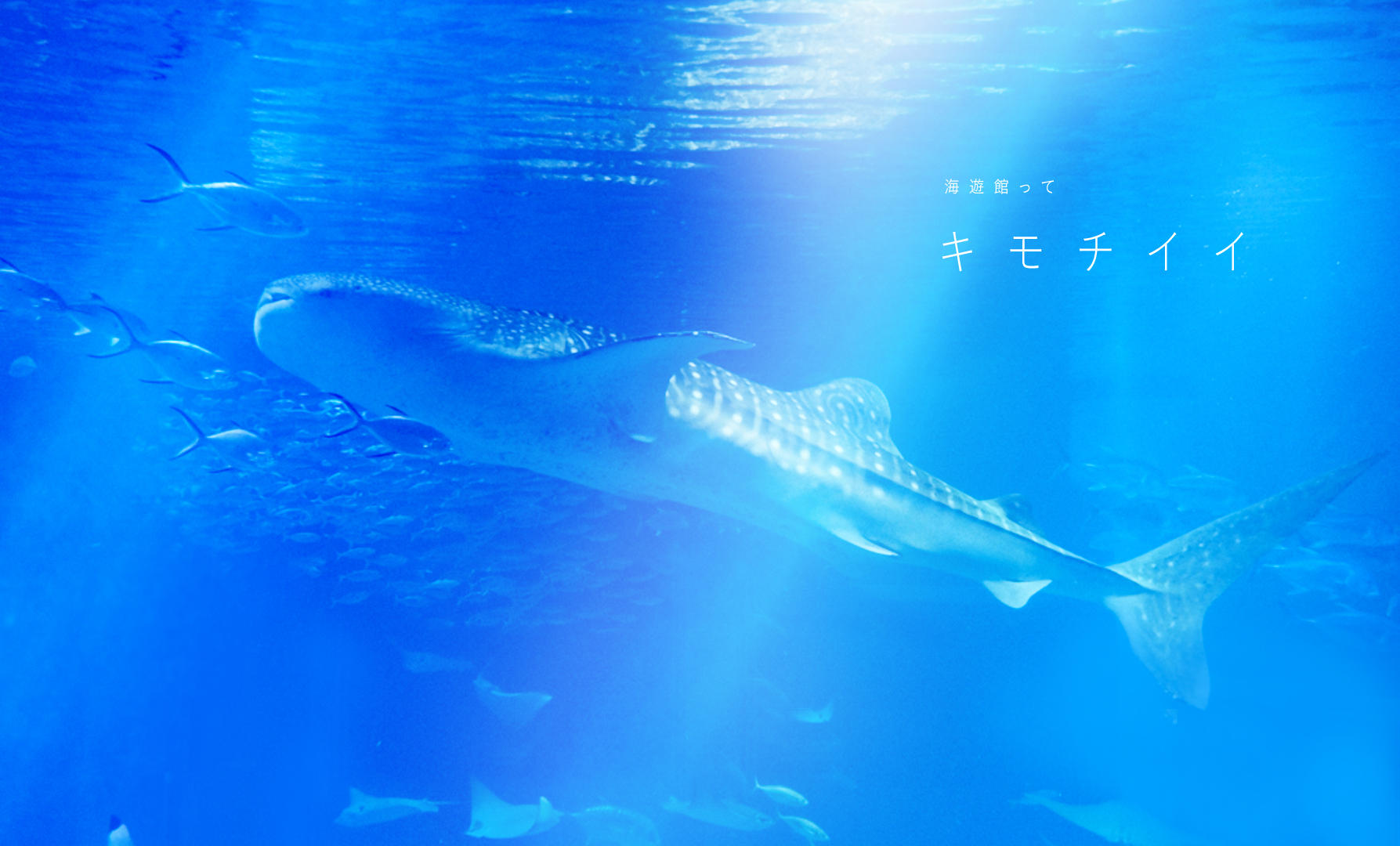 日本大阪治安最安全的地方,大阪西成区治安