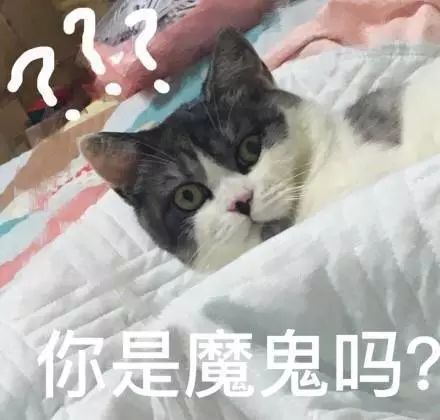 鬼灭之刃原番截图,tma鬼灭之刃改编版