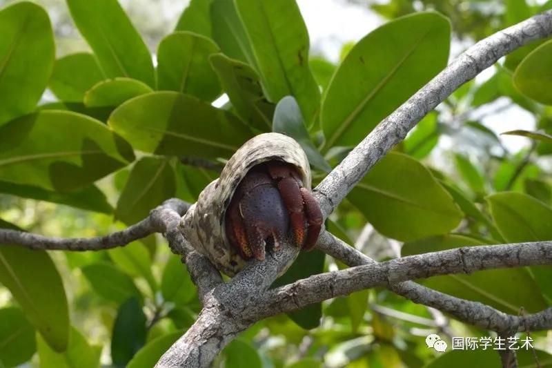 2050美国科技大赛,美国科学无国界挑战赛