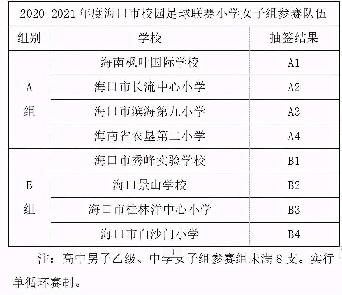 海口市校园足球联赛2021-2022小学,2019海口市校园足球联赛