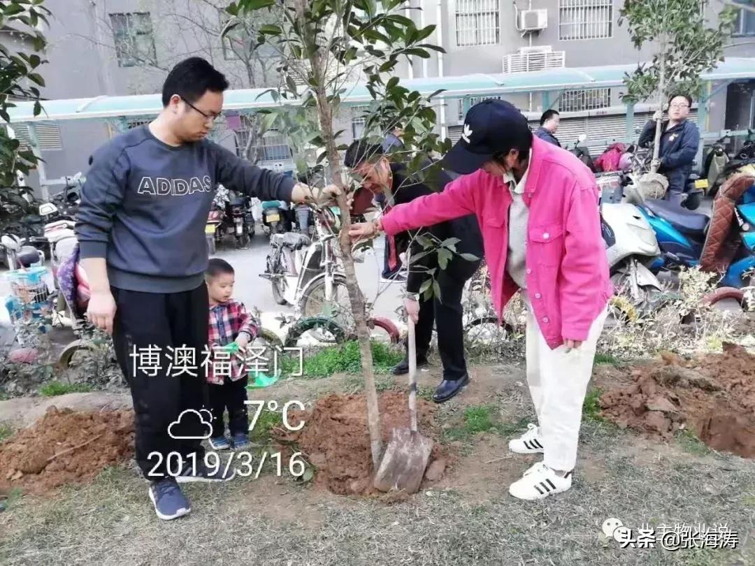 物业服务零投诉,福泽门物业现状