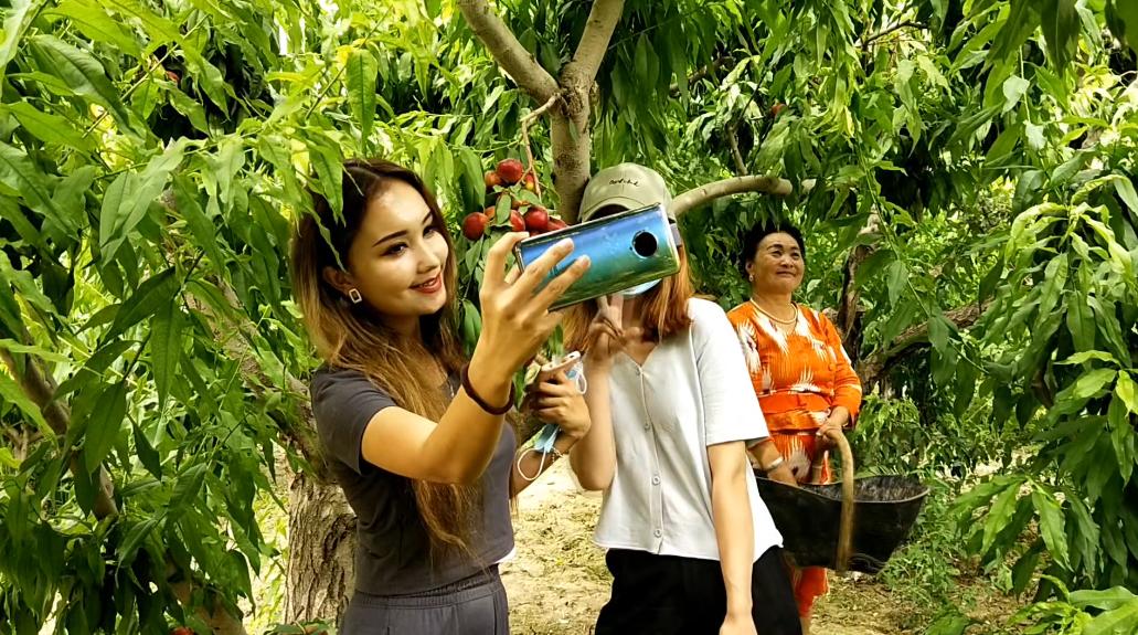 向党说说心里话演讲,向党说说心里话素材