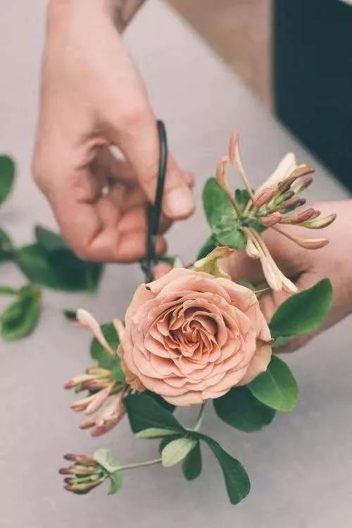 纯小白买花攻略,小白买股实操