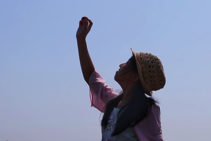 曹妃甸海上游,曹妃甸海上一日游哪里不错