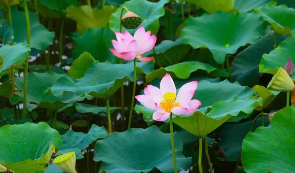 始兴市区游玩攻略,韶关始兴县旅游攻略