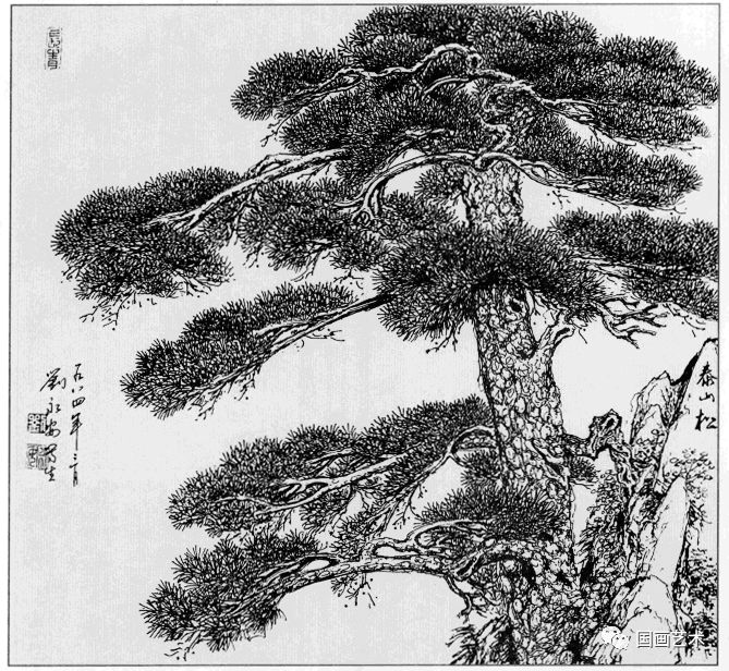 日式线描松树波浪纹,深度线描儿童画松树