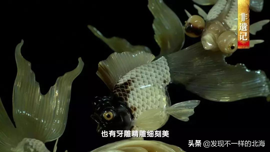 广西合浦是怎么样的?央视是这样全方位介绍这美丽的珠乡的