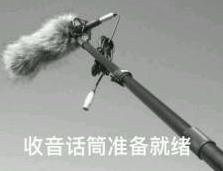 她消费了22万网友的同情心，直到把自己送进看守所