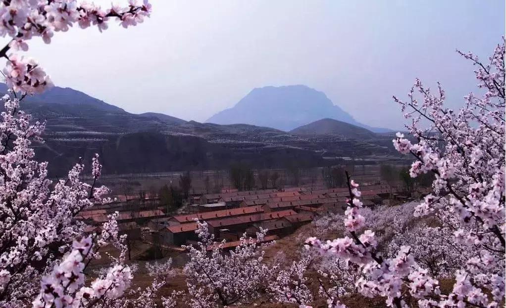 张家口市下花园区最新消息,张家口下花园在什么位置