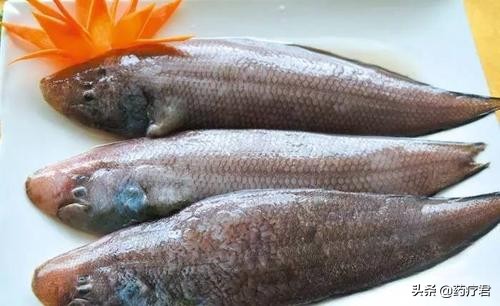 龙利鱼跟巴沙鱼怎么辨别,龙利鱼和巴沙鱼如何辨别
