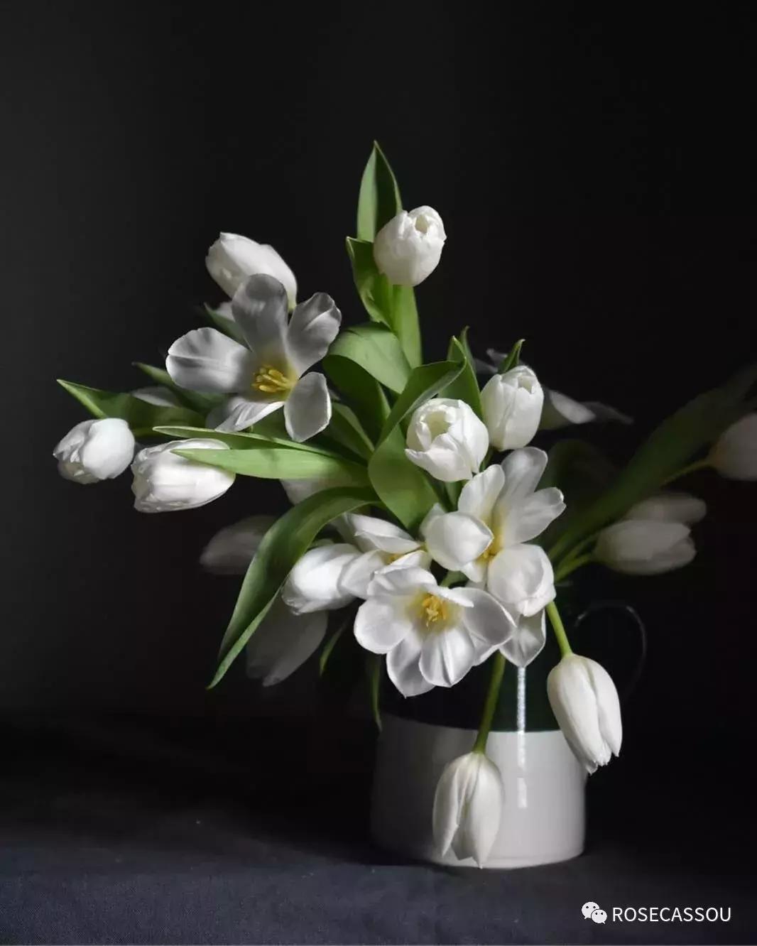 西柚慕斯郁金香花语,蕾丝郁金香花语