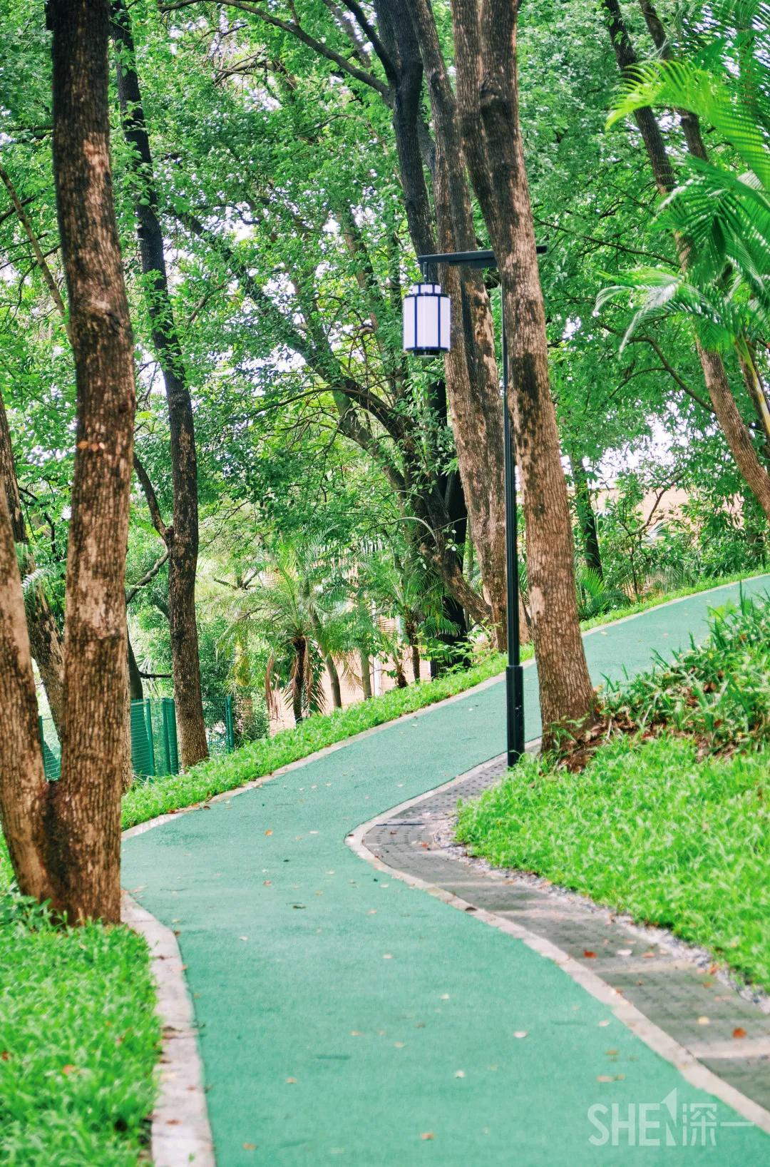 深圳八大绝美公园,山水公园深圳