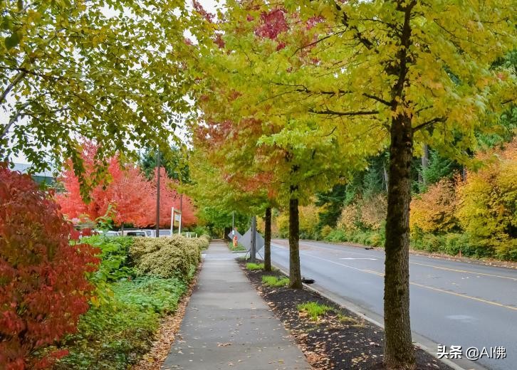 美国各州最宜居地,美国各州最适合居住的地方