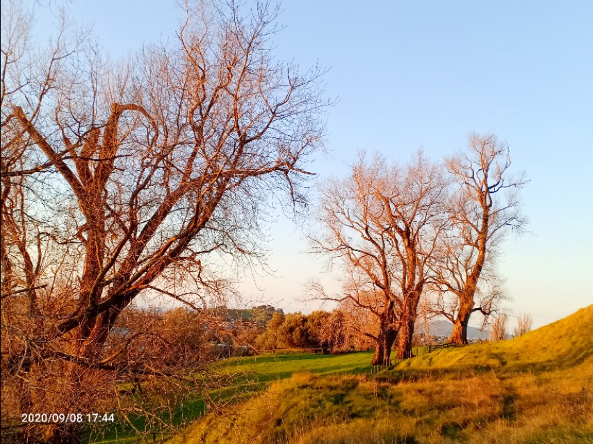 一树山,我的精神家园
