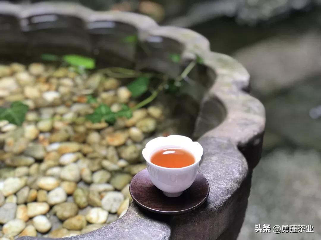 大红袍的正确冲泡方法详细步骤,大红袍的冲泡方法和技巧