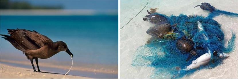 白色污染怎么防治,白色污染的最有效方法