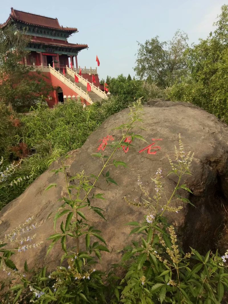 秋天的杨府山公园,秋天的泉山森林公园