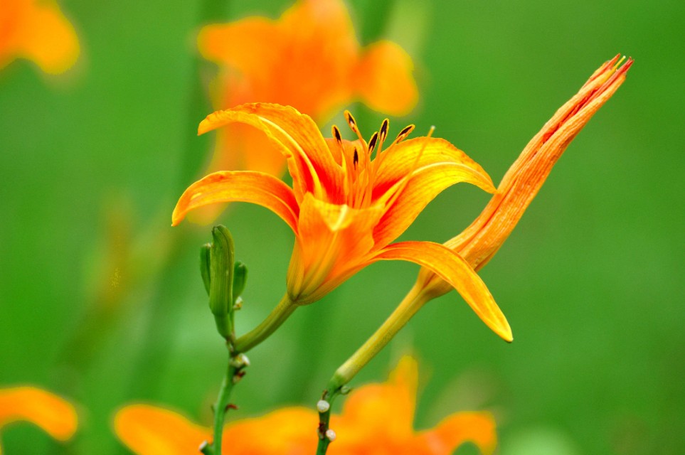 当别人诋毁自己,当别人诋毁你应该怎么办