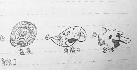 智力低下没有理解能力怎么办,超常大脑记忆法