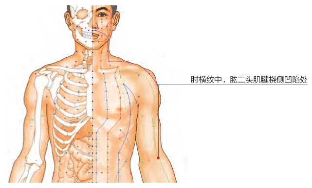 《网球肘》属于痹症的范畴，中医说3个穴位就可缓解！