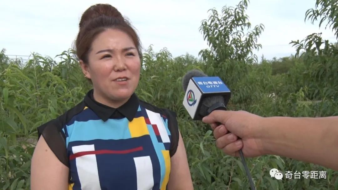 油桃红彤彤农民乐开怀