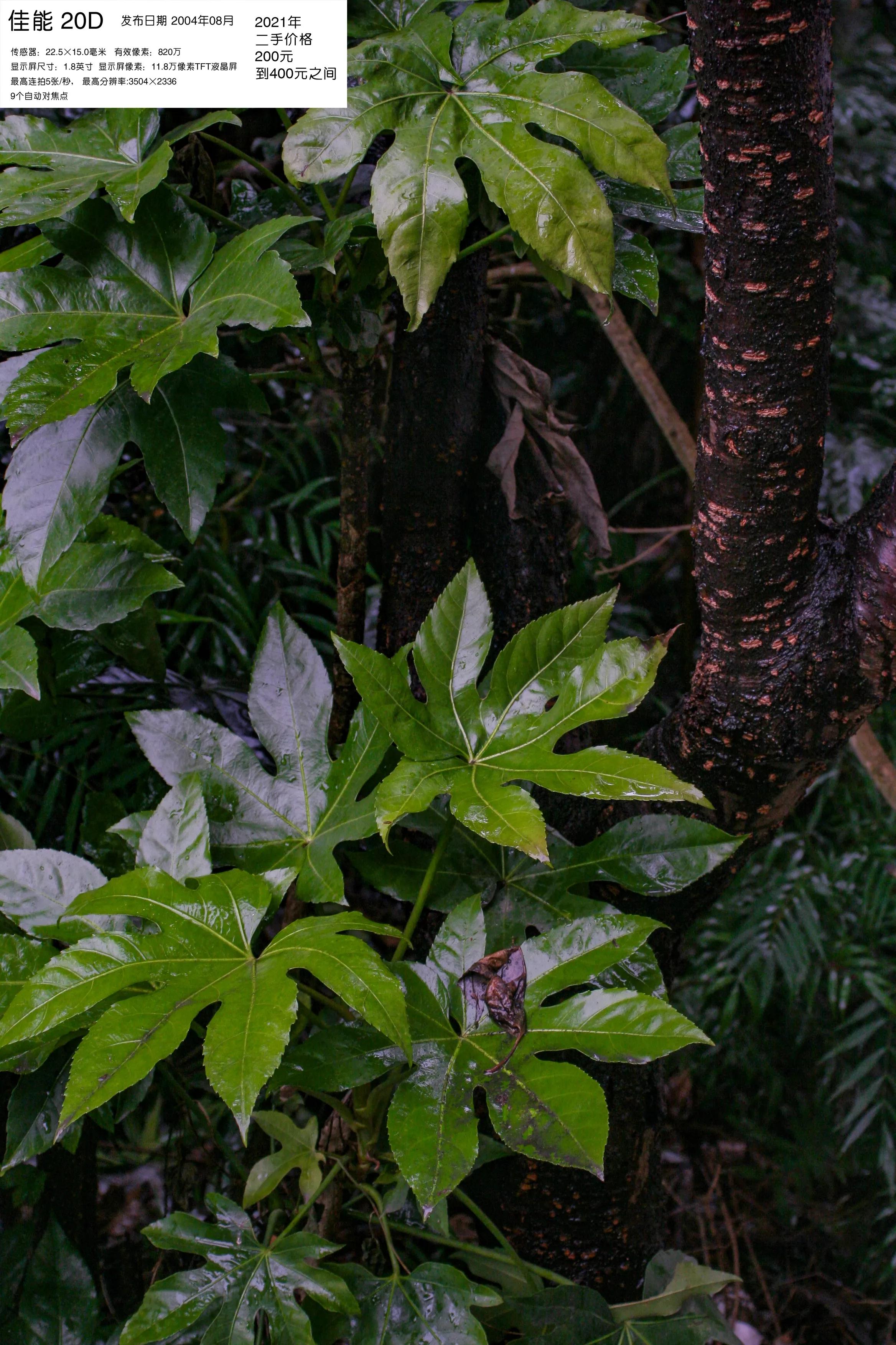 去学摄影花费2w到底值不值得,想学摄影不知道从哪里入手