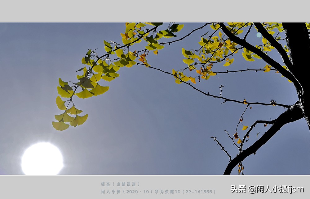 天空阴暗手机拍摄怎么办,天气太亮看不清手机怎么拍照