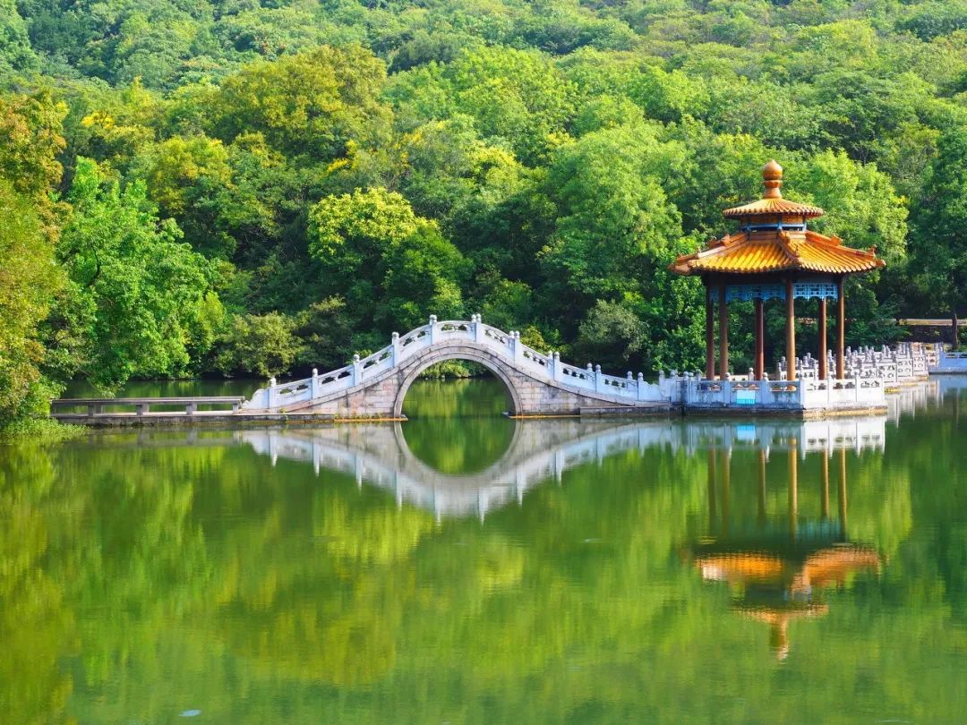 安徽省内旅游景点推荐自驾游,安徽的名胜古迹和旅游景点有哪些