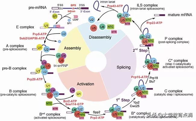 清华大学科技成果转化,清华大学重大贡献科研成果