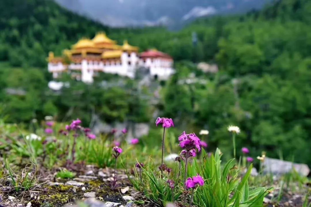 一个被上帝偏爱的地方,一个被上帝遗弃的城市