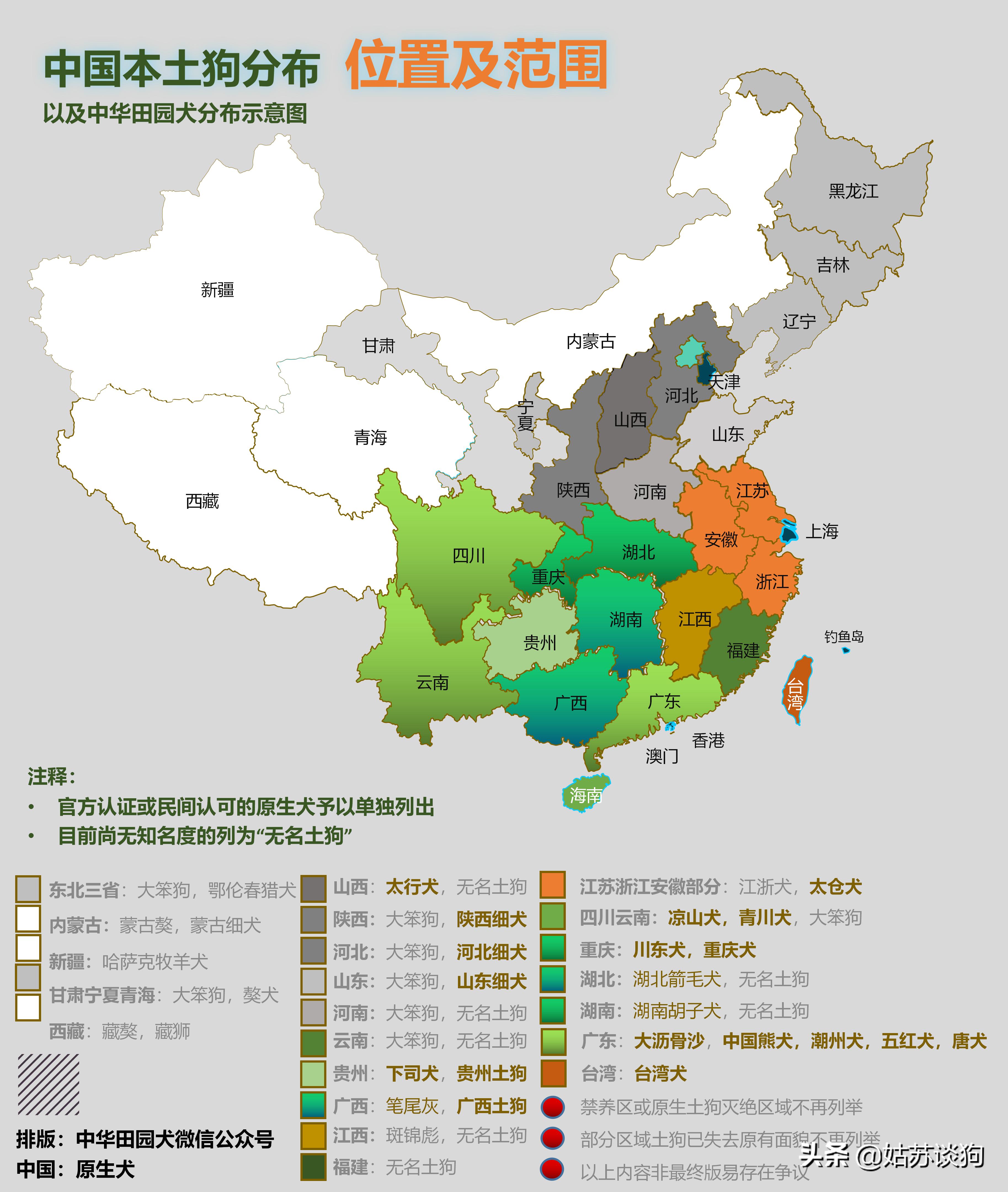 土狗毛多的好还是毛少好,农村土狗为什么越来越少